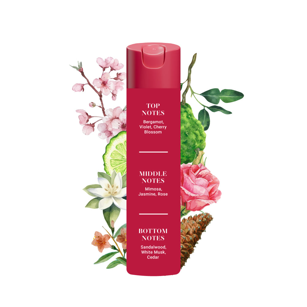 Adeha Air Freshener Pocket 3+1 Pack + Whispering Woods 218 ml Spray