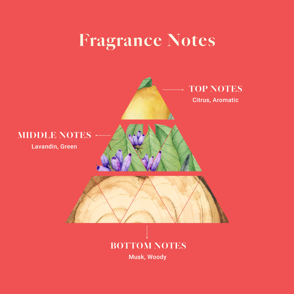 Adeha Fragrance Pouch - Air freshener for Bathroom, Car, Wardrobe - Dancing Dawn